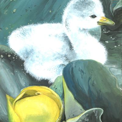 duckling